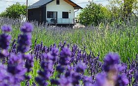 Vacation Home - Nest Kalnik