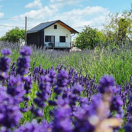 Vacation Home - Nest Kalnik Zewnętrze zdjęcie