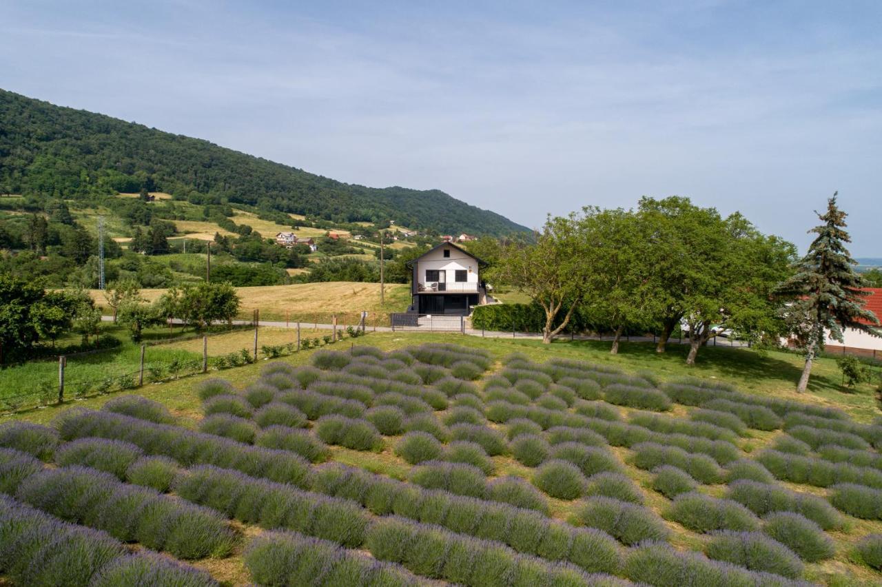 Vacation Home - Nest Kalnik Zewnętrze zdjęcie