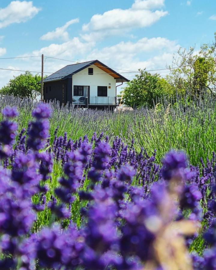Vacation Home - Nest Kalnik Zewnętrze zdjęcie